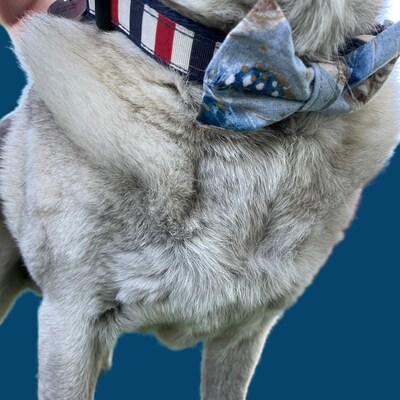 Custom dog bow shop ties